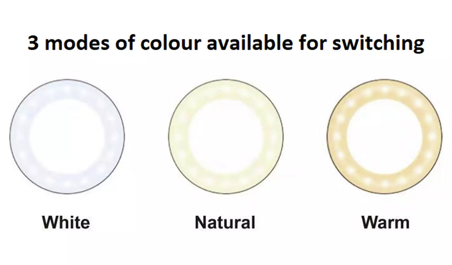 Desk Ring Light With Tripod & Phone Holder