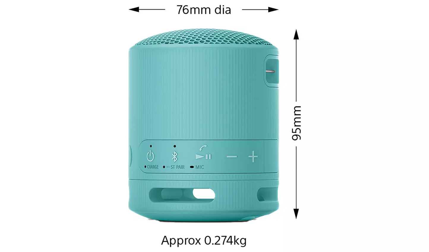 Sony SRS-XB100 Bluetooth Portable Speaker - Blue