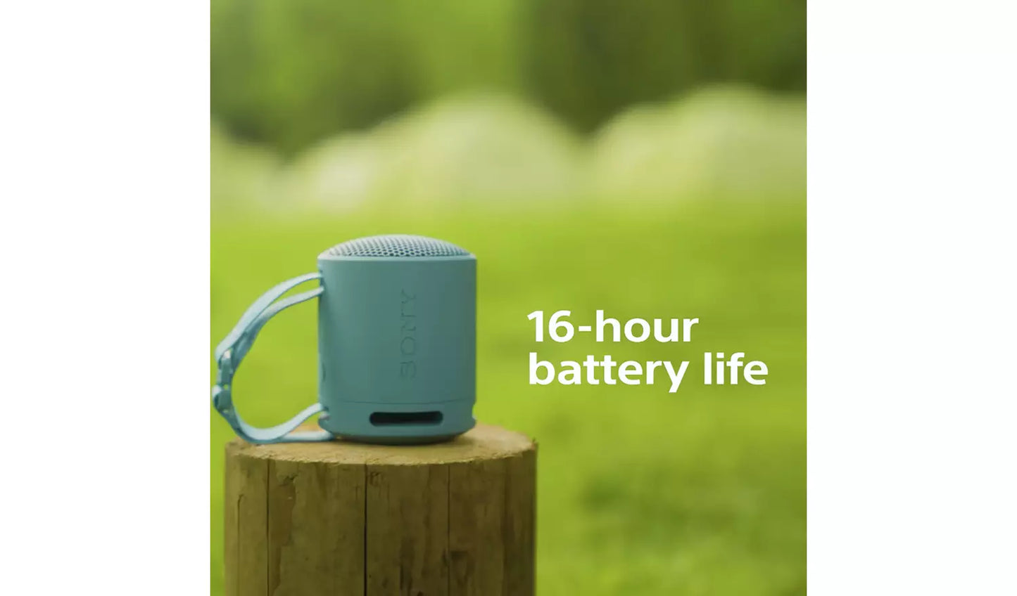 Sony SRS-XB100 Bluetooth Portable Speaker - Blue